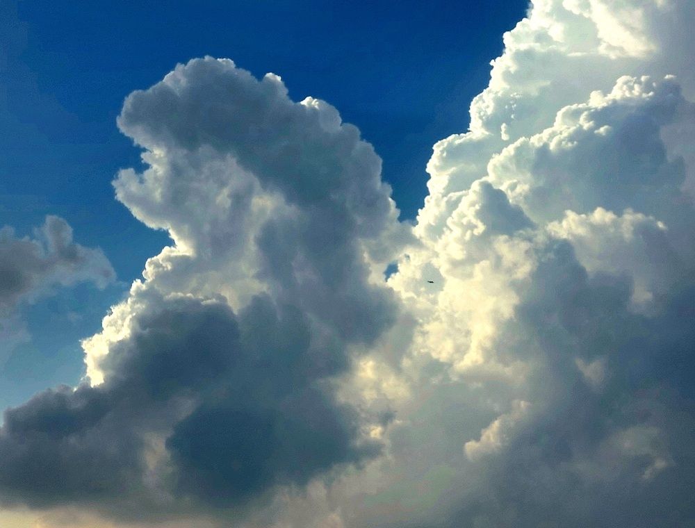 Photograph by Soha Hossam