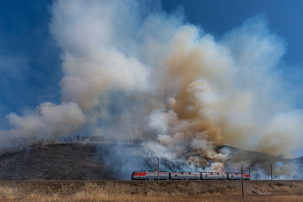 Photograph by Ольга Мусиенко