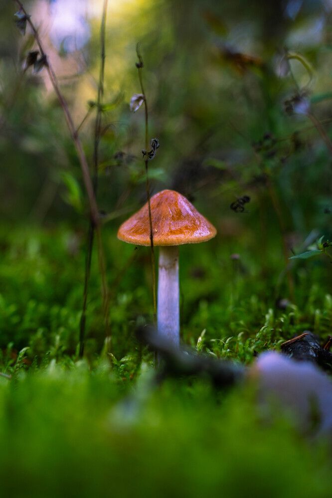 Photograph by Никита Роговский