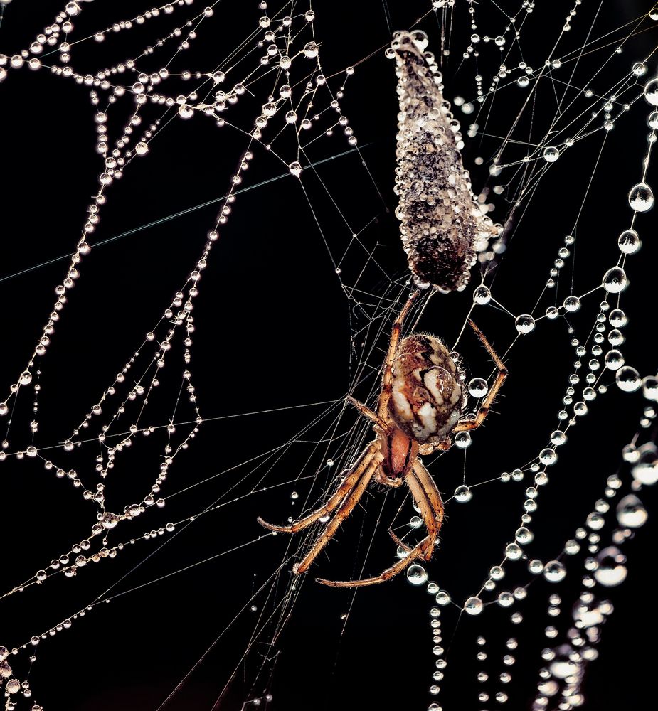 Photograph by Лапшина Владлена