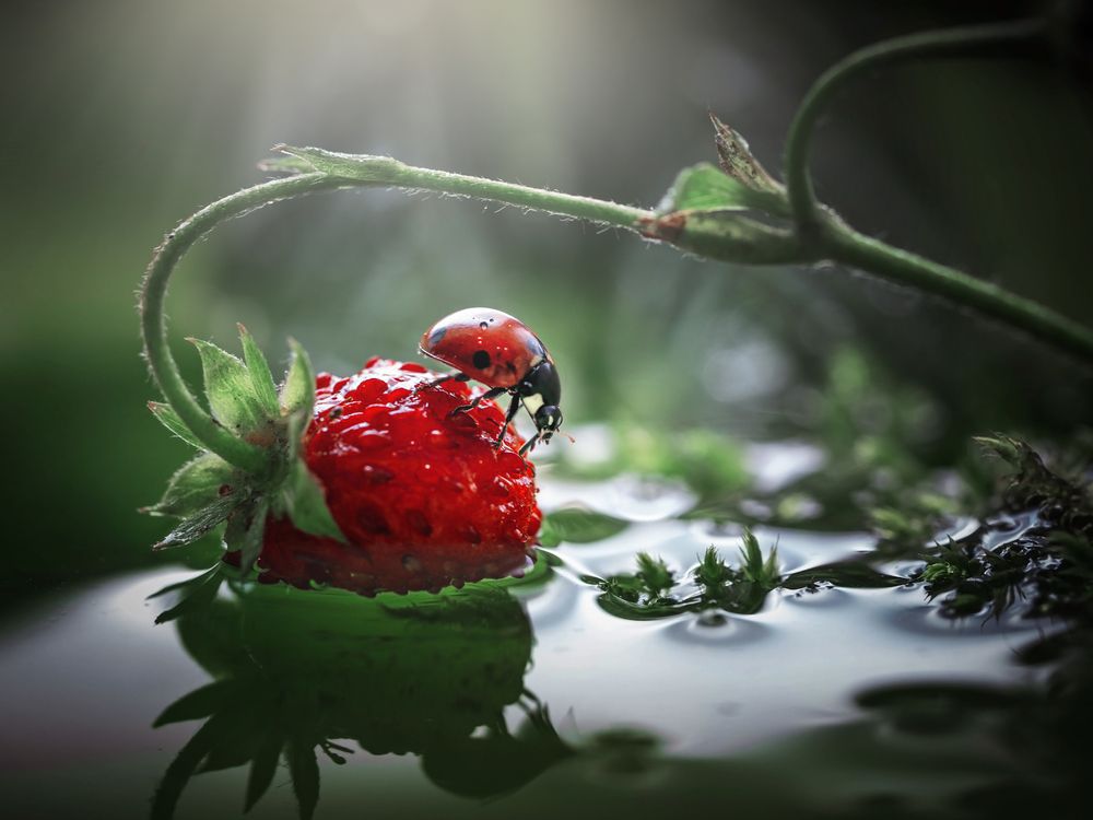 Photograph by Лапшина Владлена