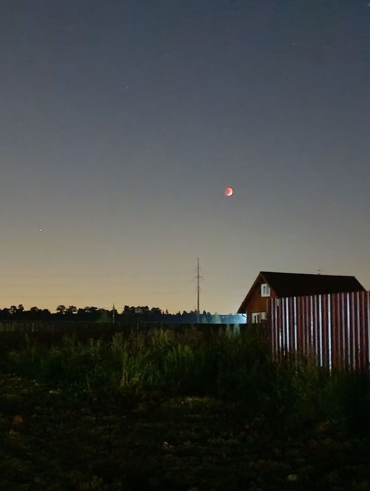 Photograph by Ольга Пилявская