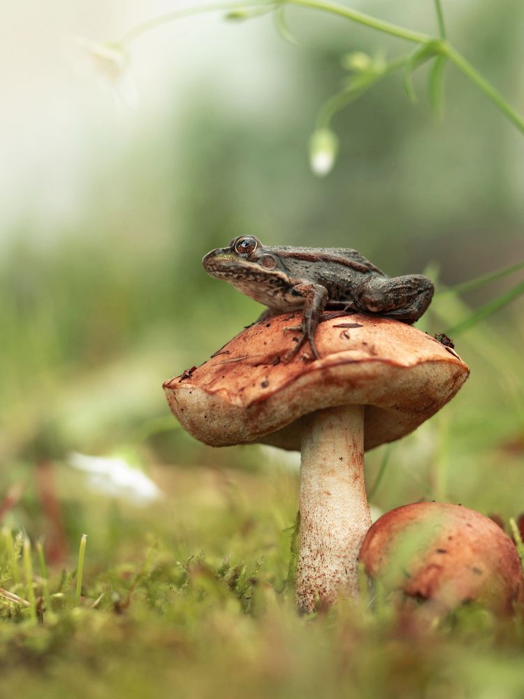 Photograph by Lapshina Vladlena