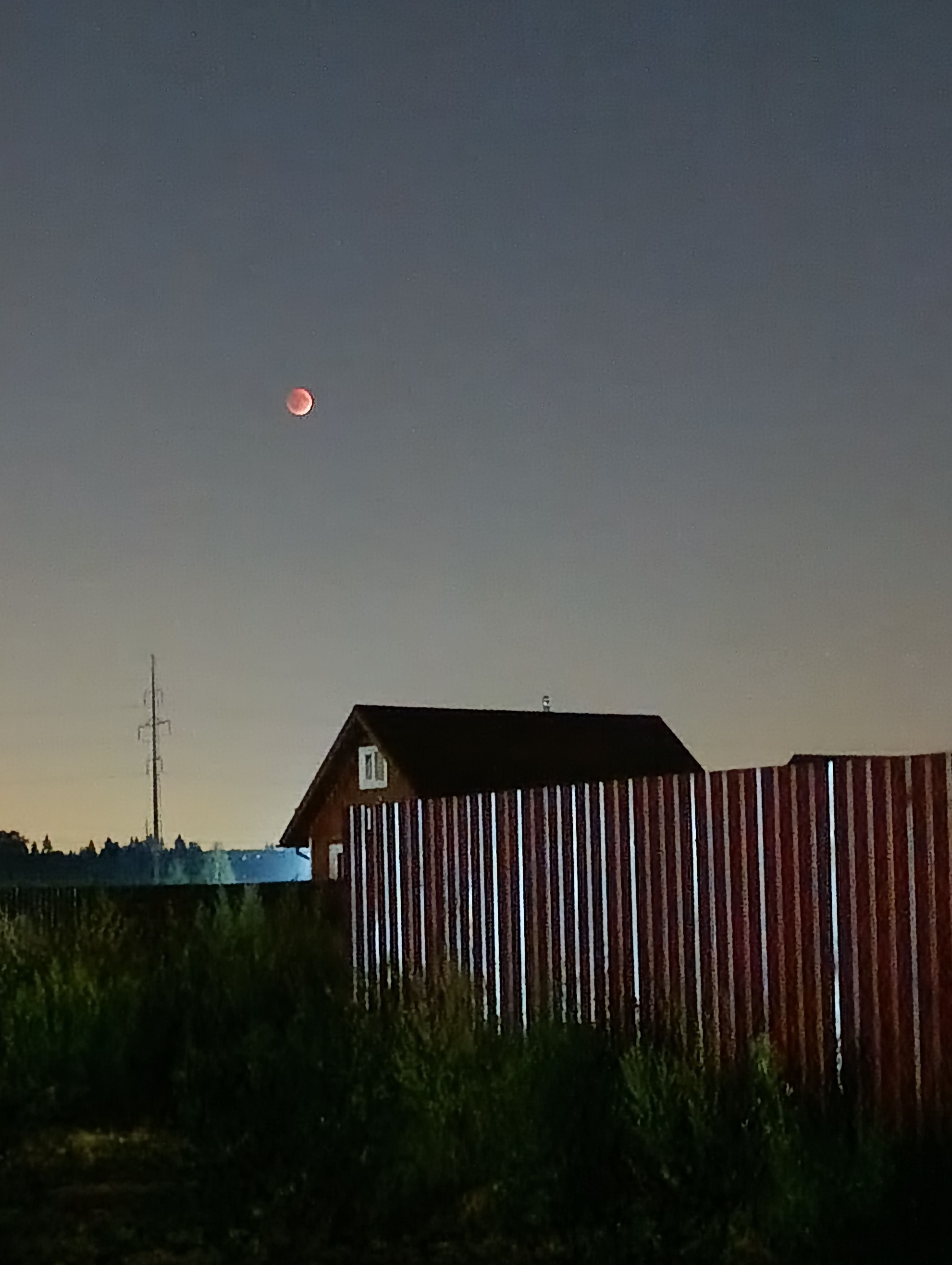 Photograph by Ольга Пилявская