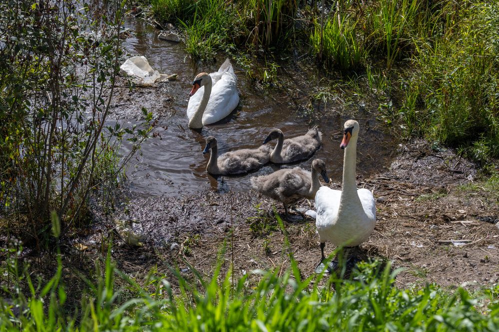 Photograph by Юлия Яковлева