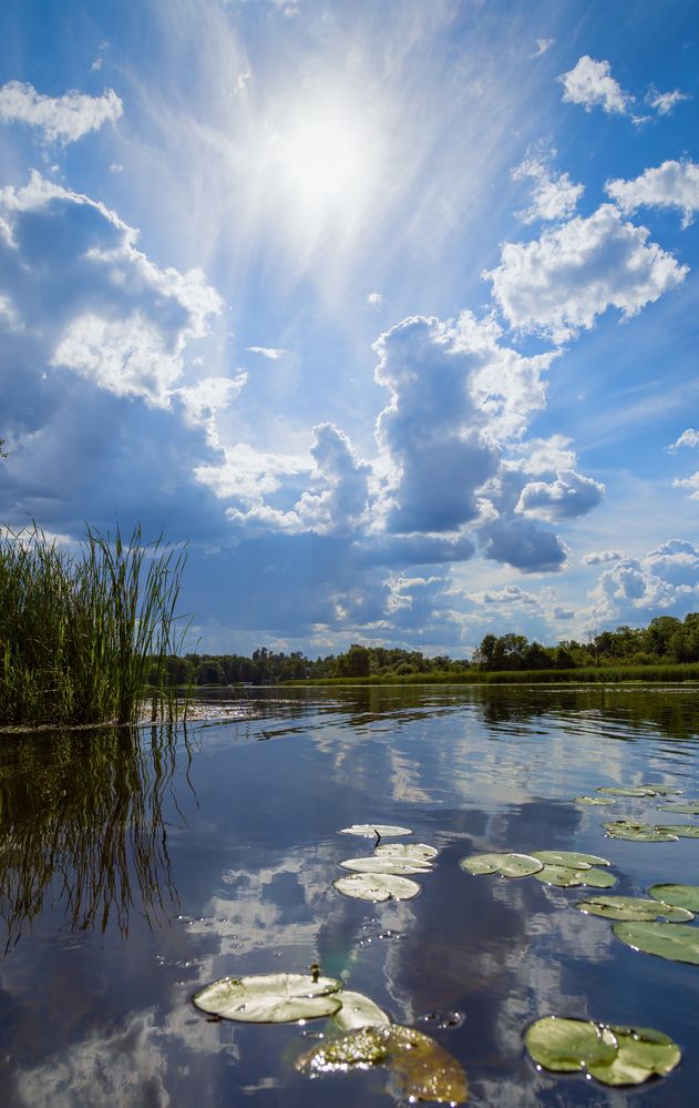 Летний  полдень переменчивого лета
