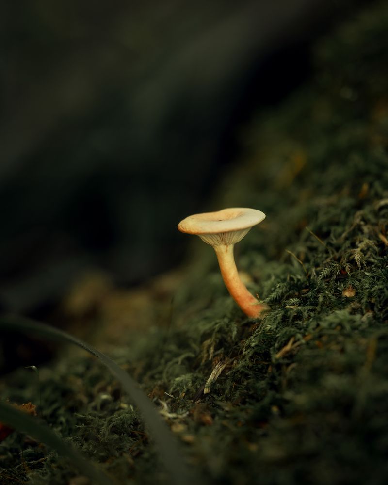Photograph by Людмила Завьялова