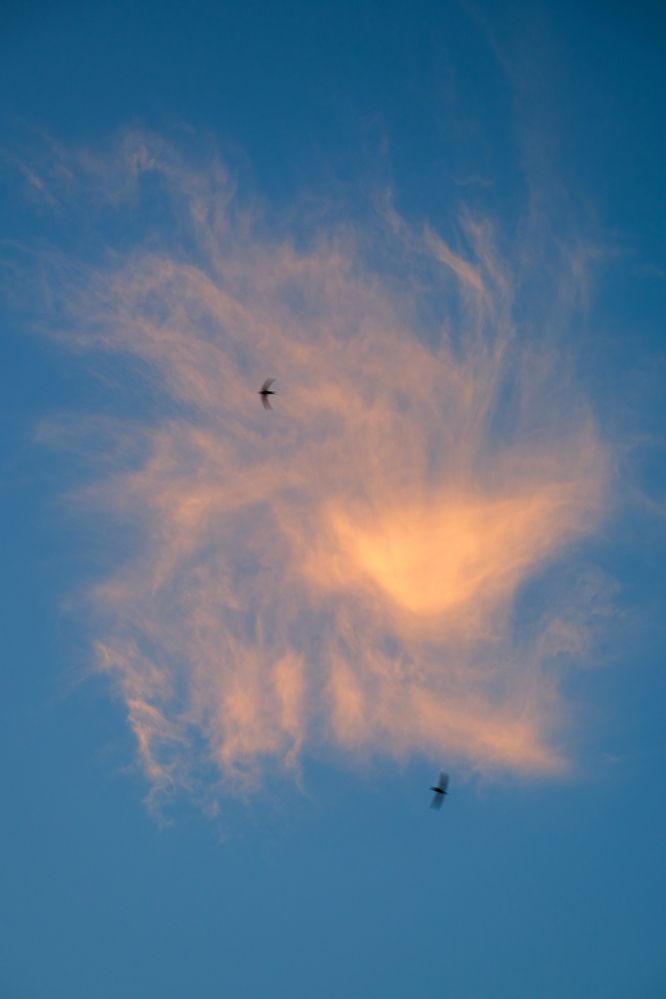 Photograph by Ирина Чиркина