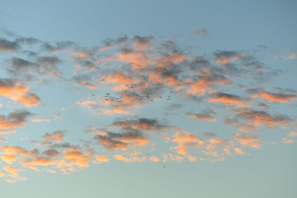 Photograph by Oxana Berezovskaya