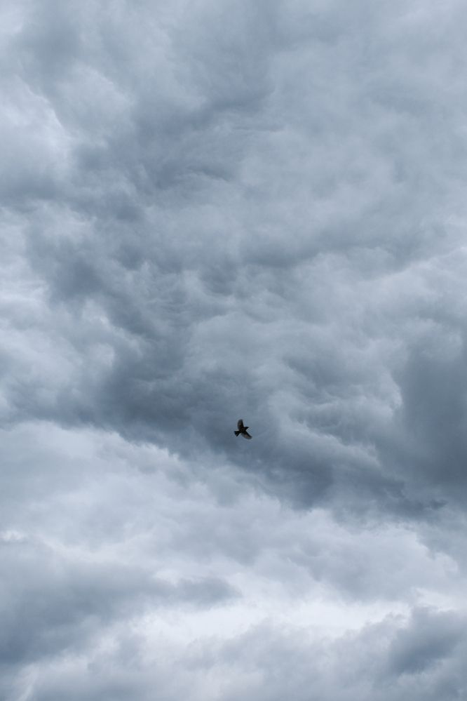 Photograph by Ирина Чиркина