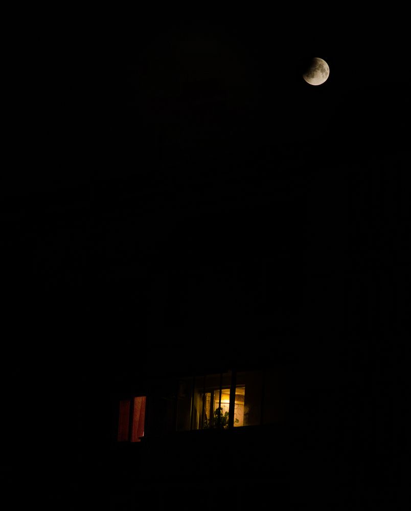 Photograph by Frolova Tatyana