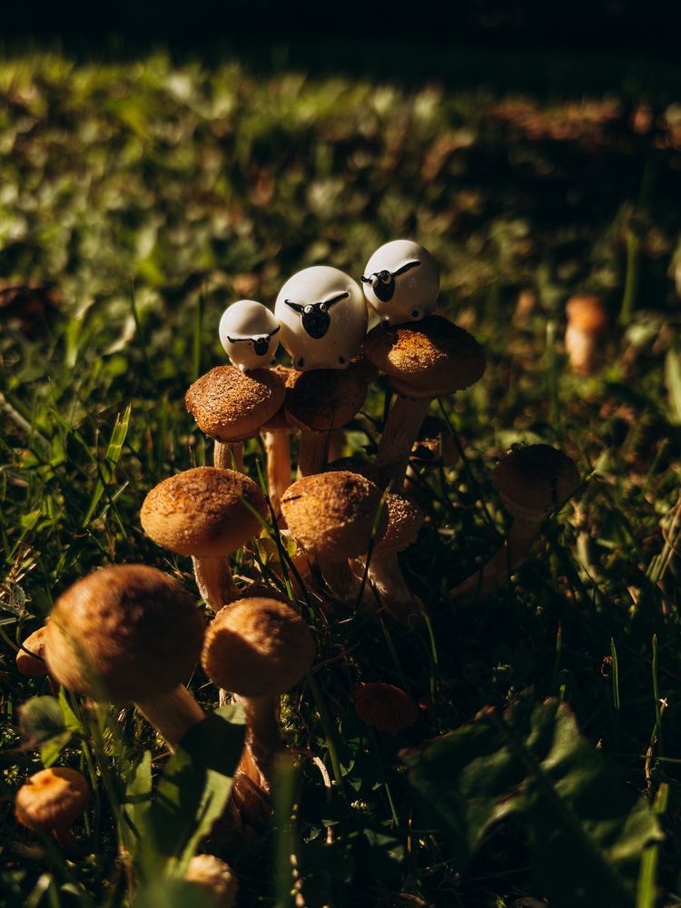 Photograph by Елена Михалева