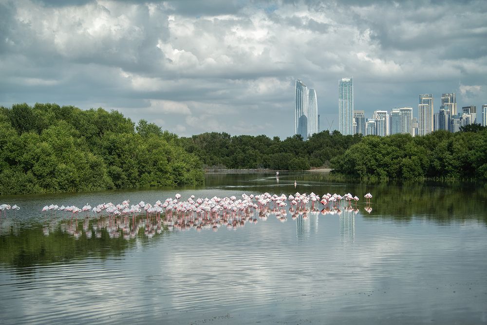 Photograph by Oxana Berezovskaya