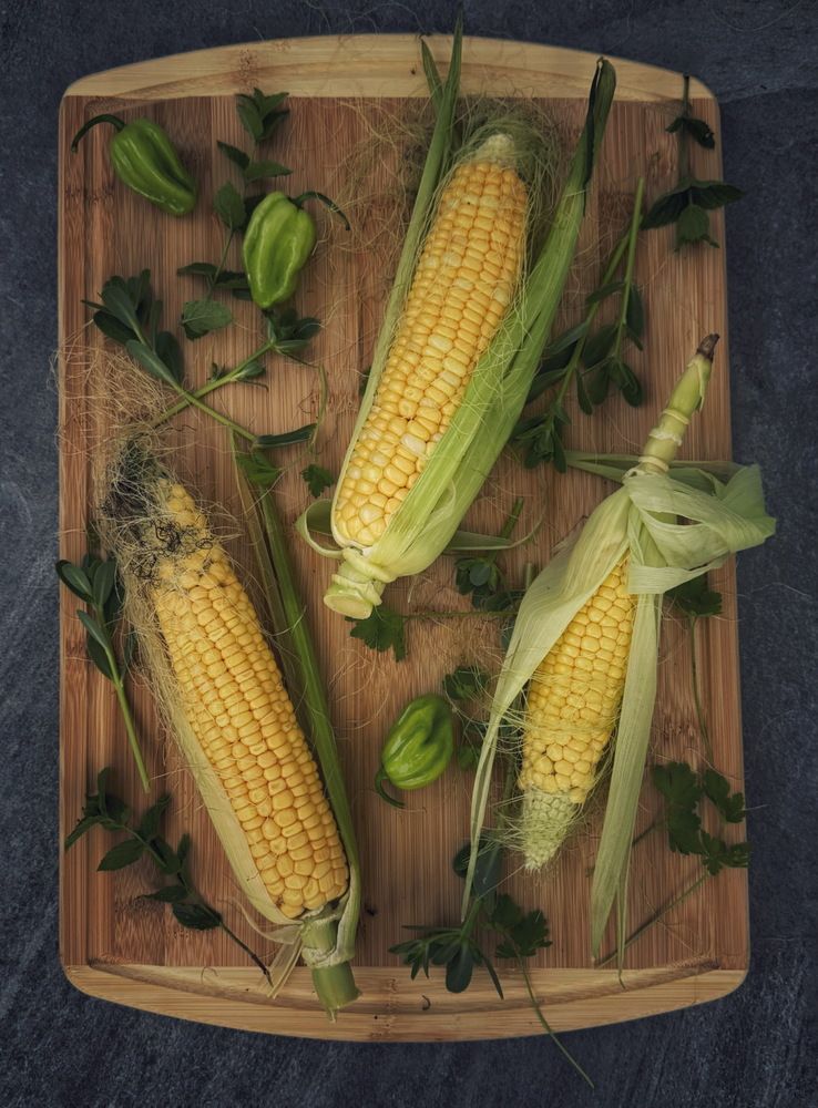 Photograph by Кира Бахвалова