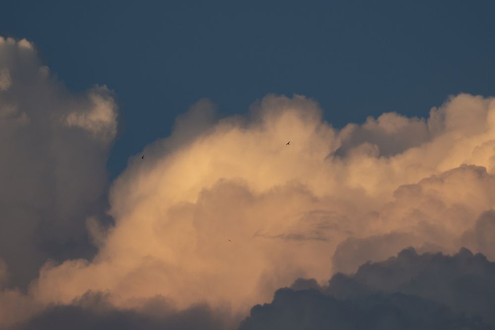 Photograph by Ivangelion [JS]