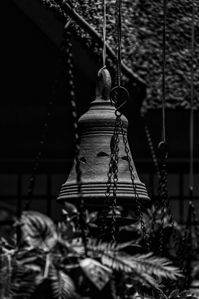 Photograph by Jaspreet Singh