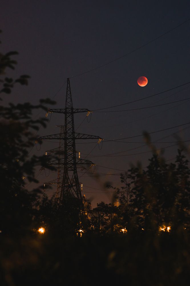 Photograph by шитиков никита