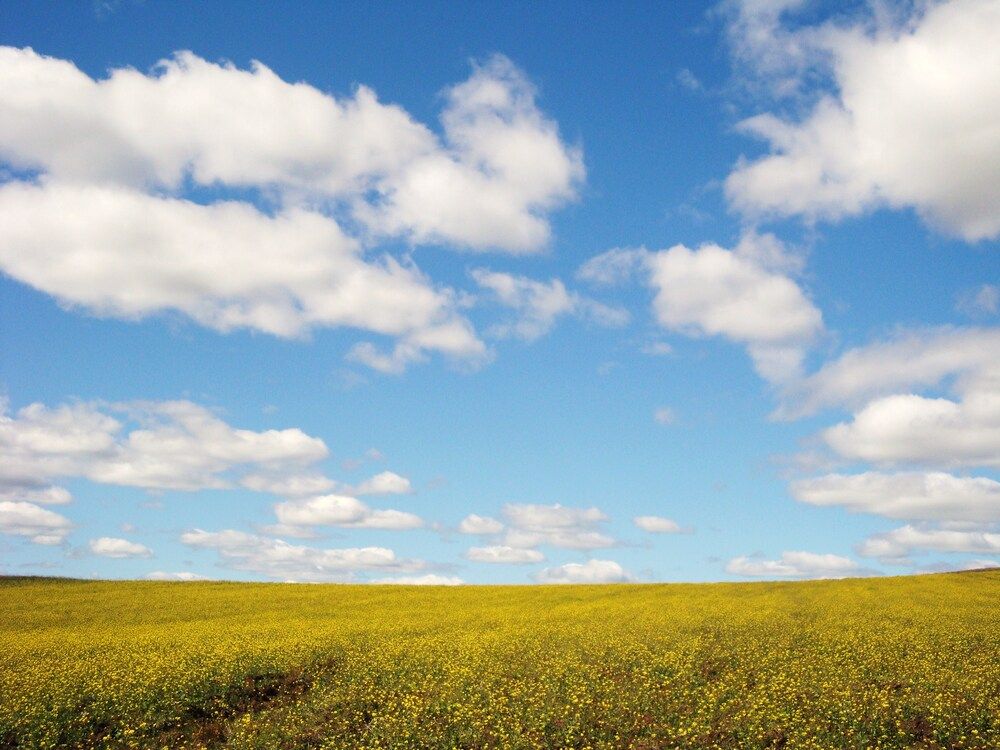 Photograph by Александра Пухкалова