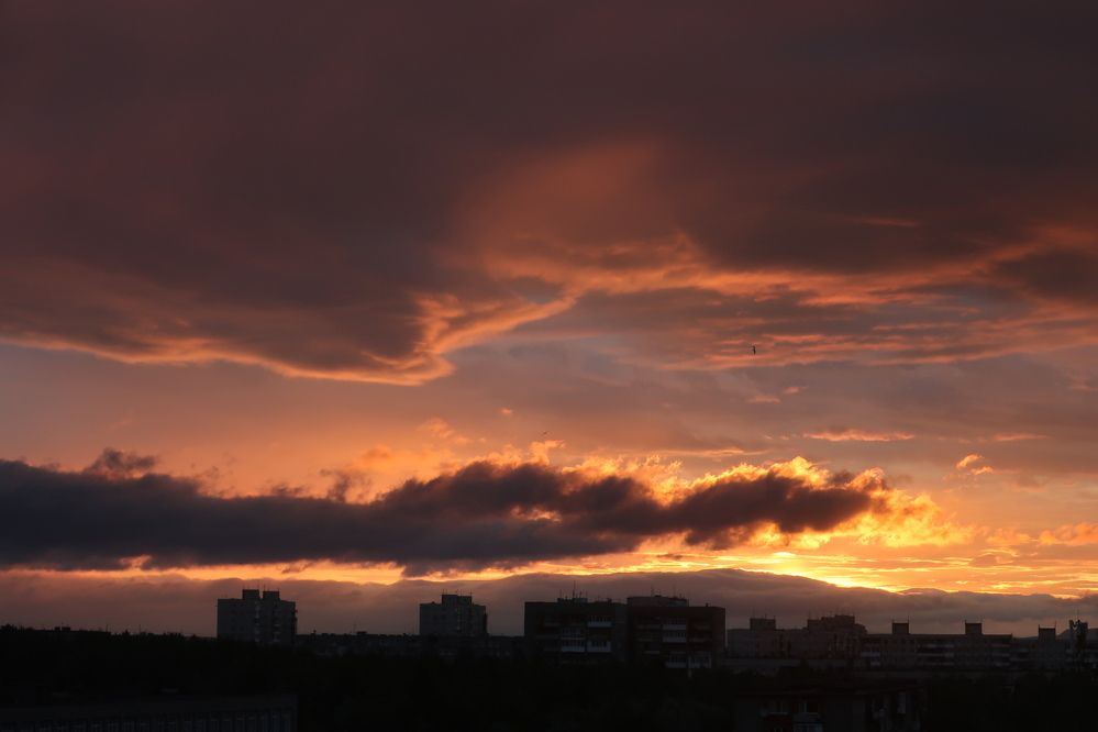 Photograph by Светлана Мамакина
