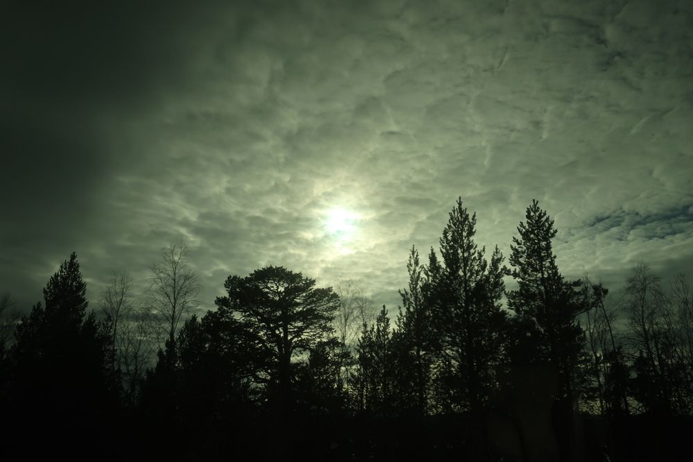 Photograph by Светлана Мамакина