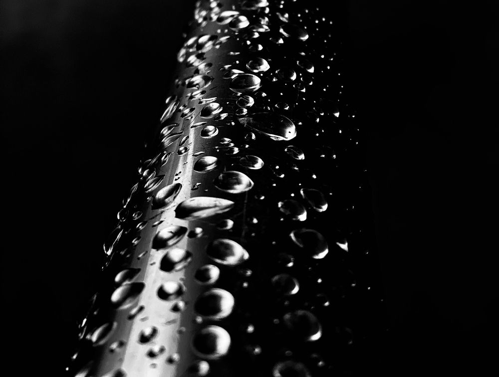 Photograph by Precious Williams