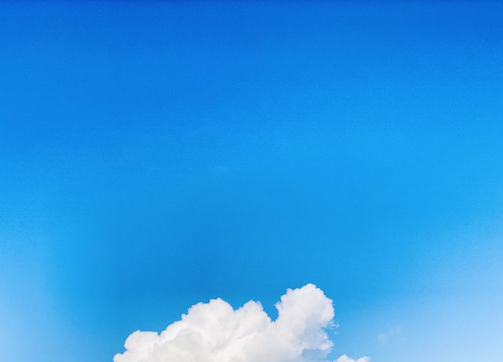 Photograph by Precious Williams