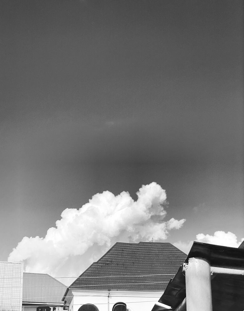 Photograph by Precious Williams