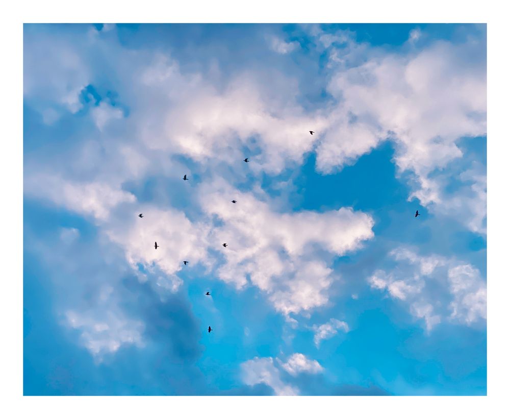 Photograph by Precious Williams