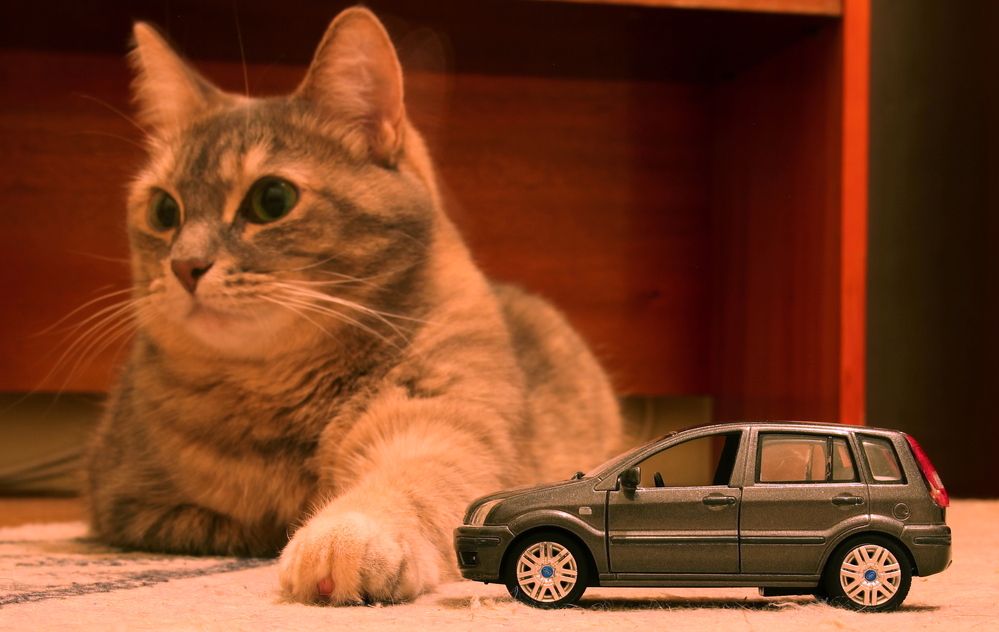 Photograph by Максим Фролов