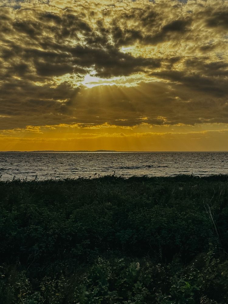 Фотография автора Анна Рыжикова