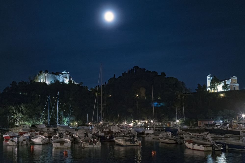 Photograph by Александр Журавлев