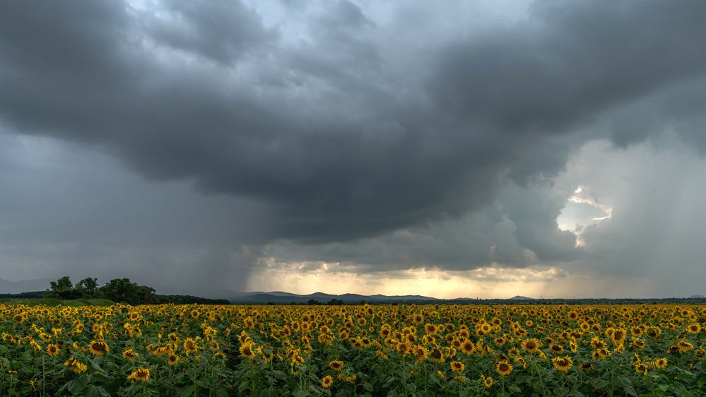 Photograph by Константин Тучин