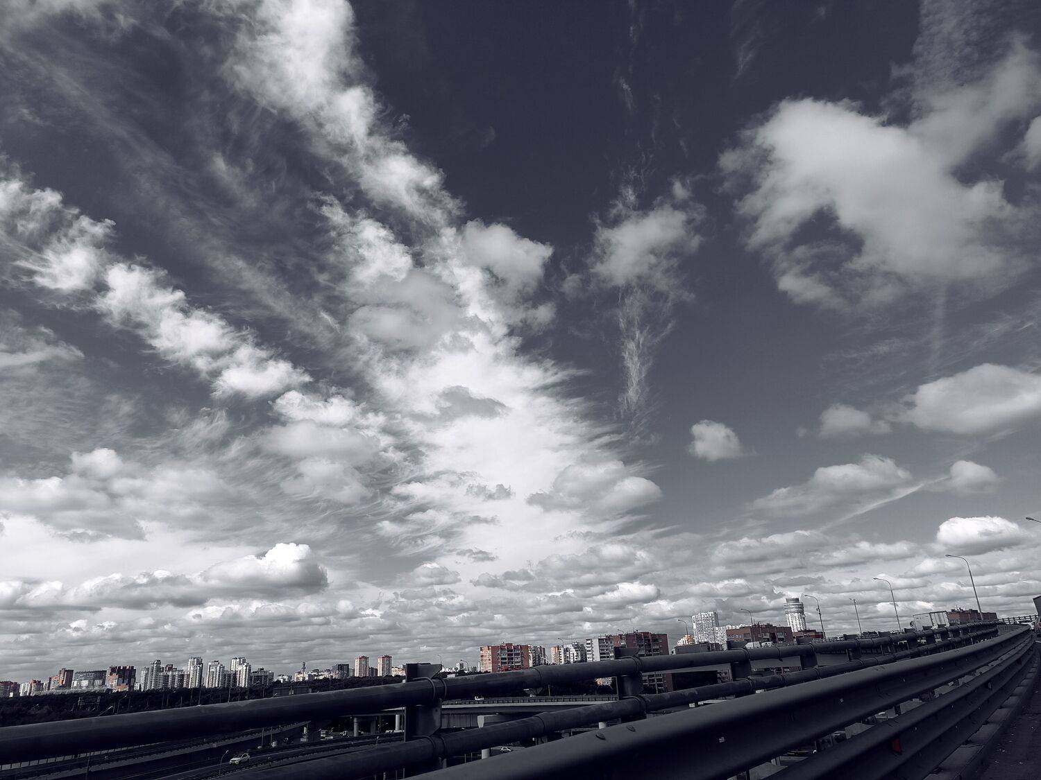 Photo #12557341
