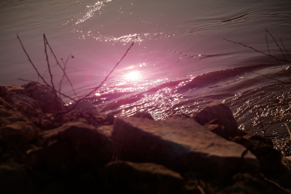 Photograph by Ольга Коломнариелтор