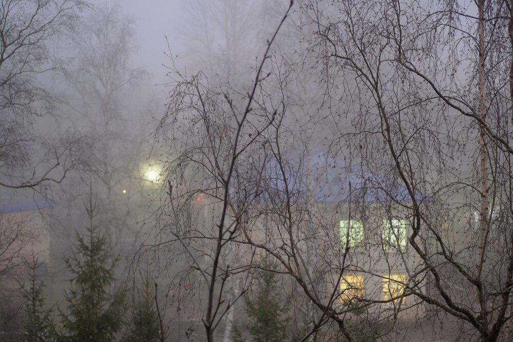 Photograph by Людмила Ваганова