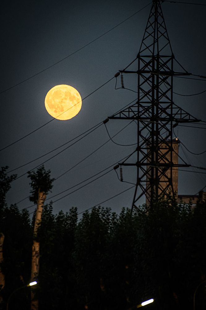 Photograph by Елена Берсенёва