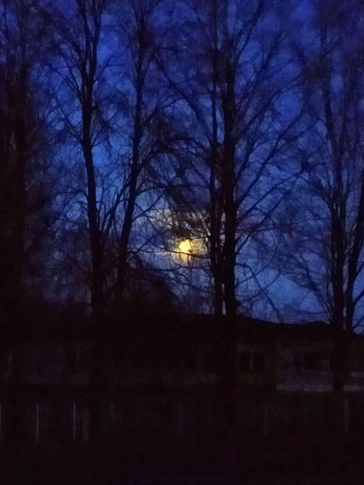 Photograph by Ия Дирко