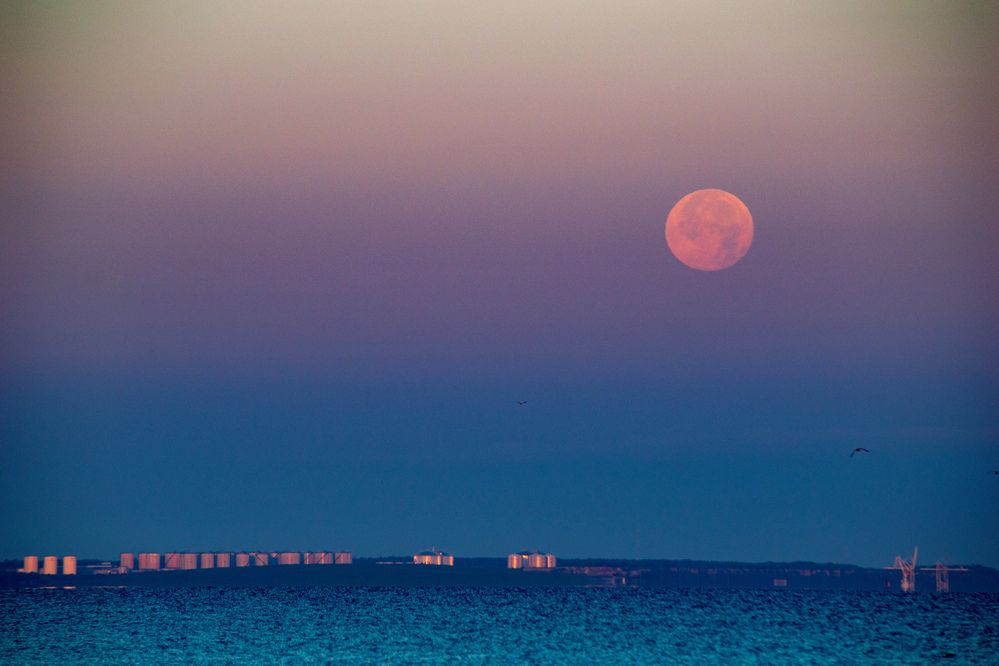 Photograph by Игорь Овсиенко