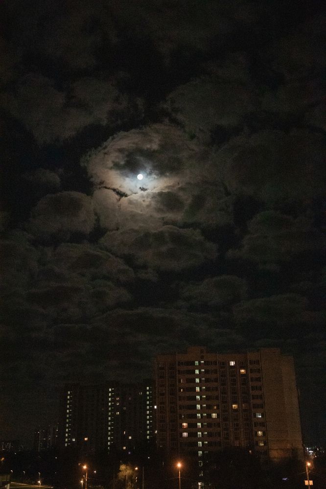 Photograph by Анастасия Павлова