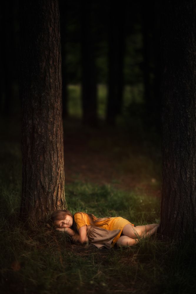 Фотография автора Анна Грошикова