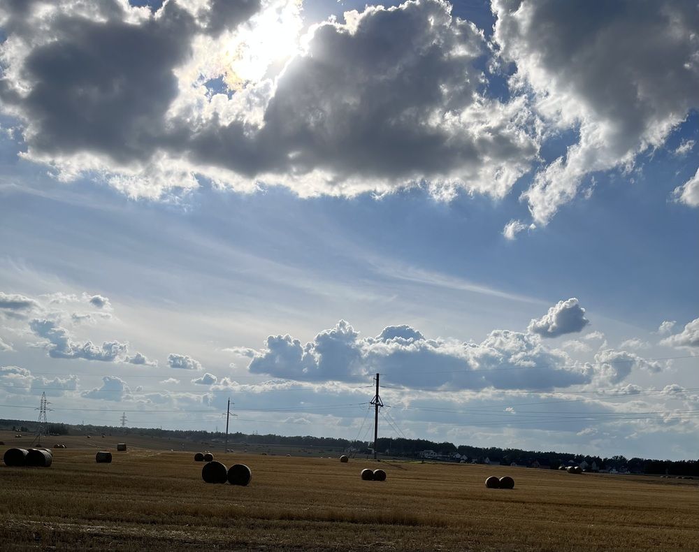 Photograph by Анастасия Стасевич