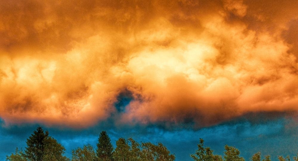 Фотография автора Valerya Vasileva