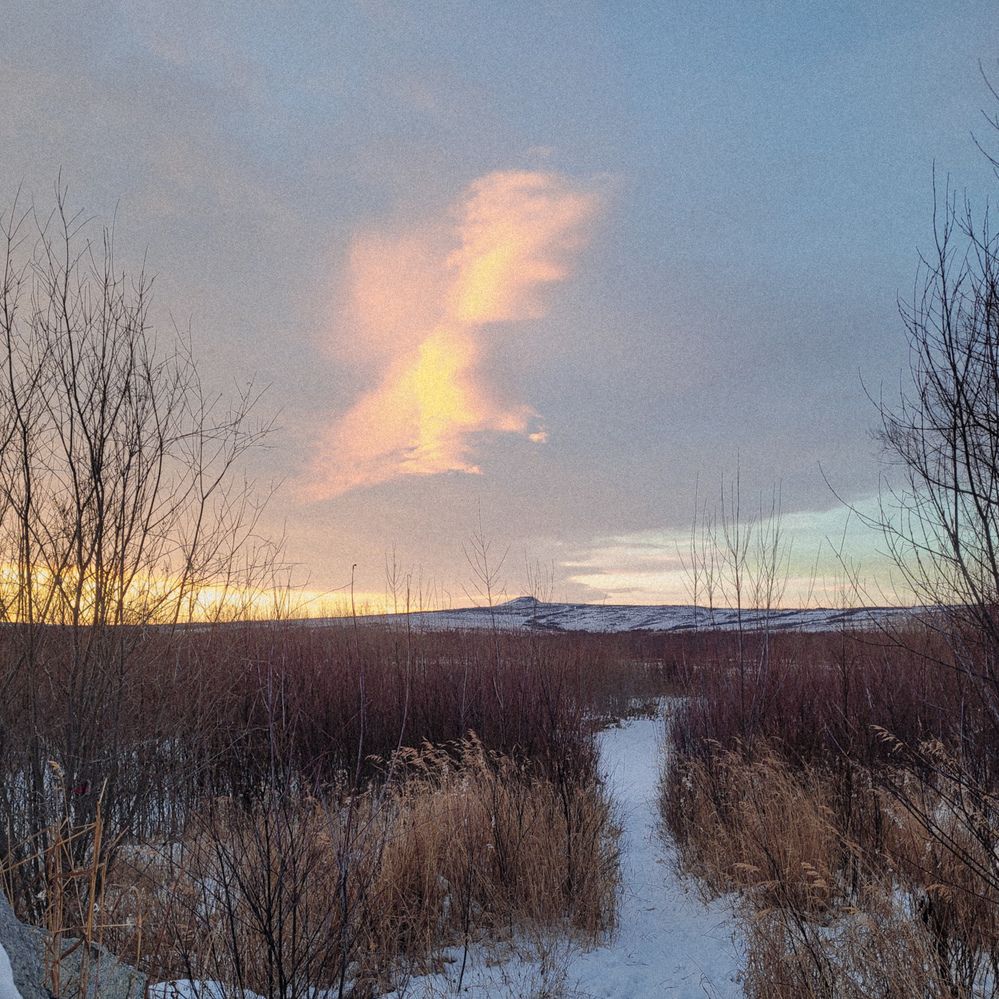 Фотография автора Казакова Людмила Ивановна