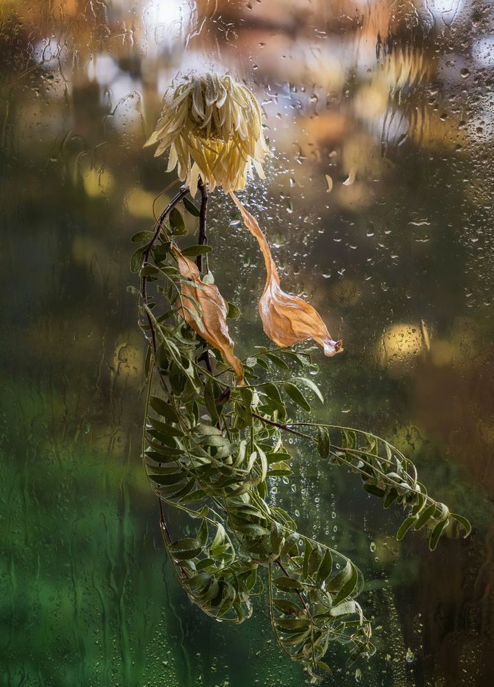 Fragile Soul