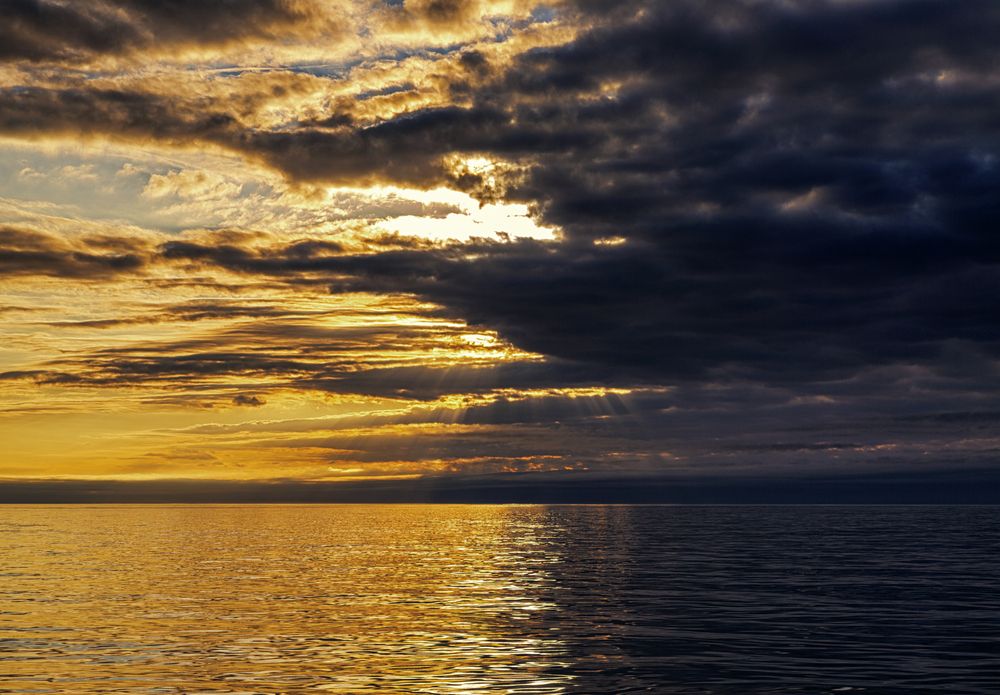 Photograph by Алена Ерошкина