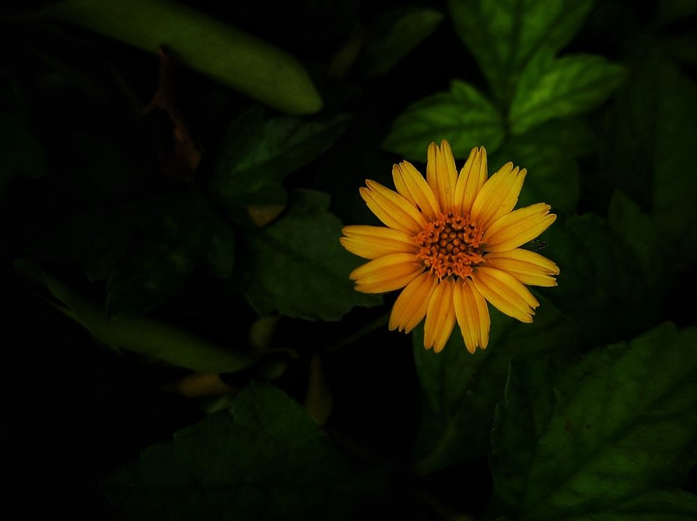 Photo #12557654