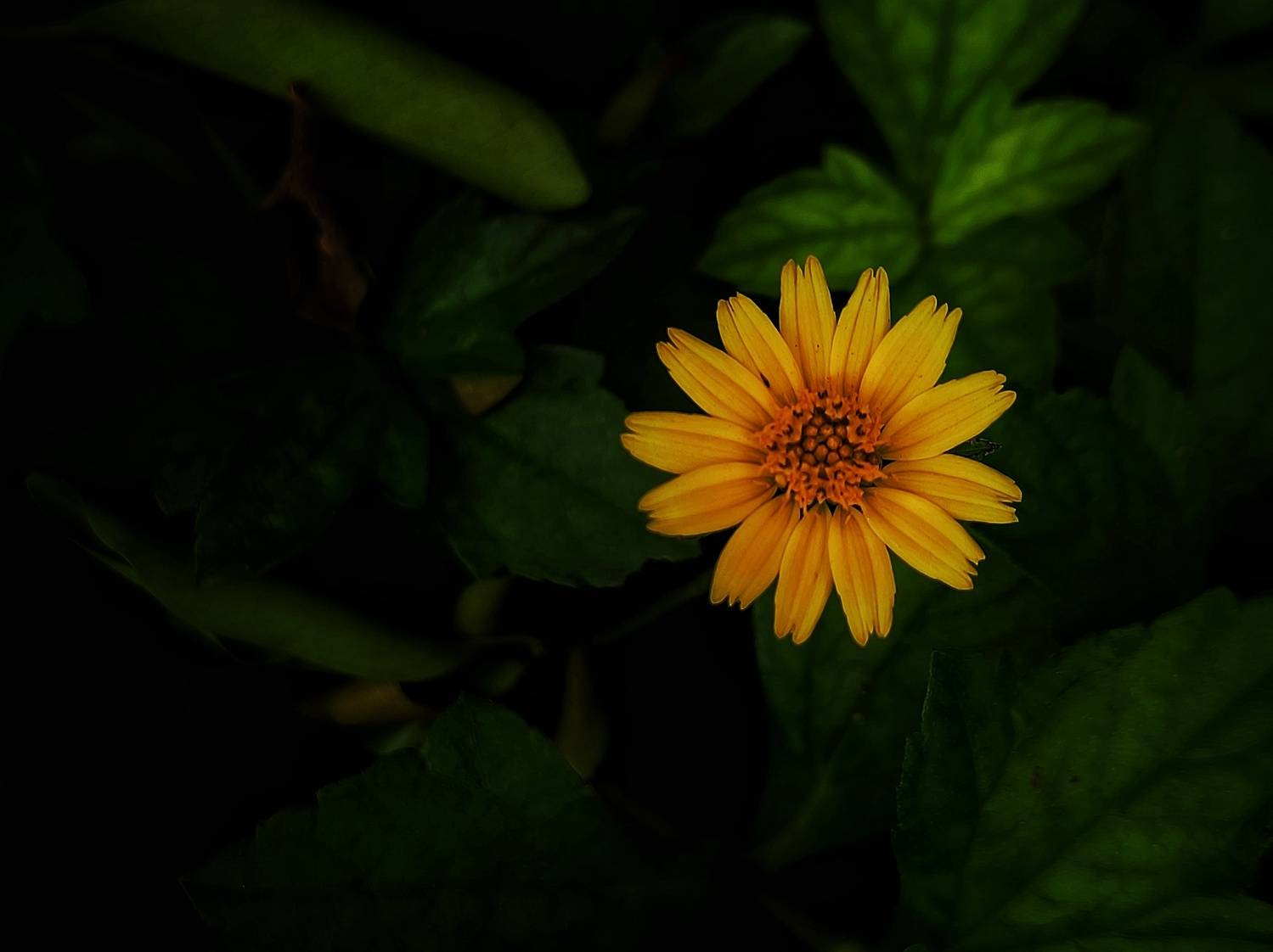 Photo #12557654