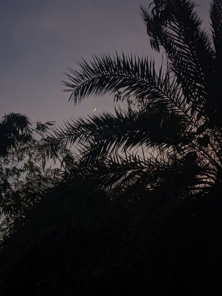 Photo #12557666