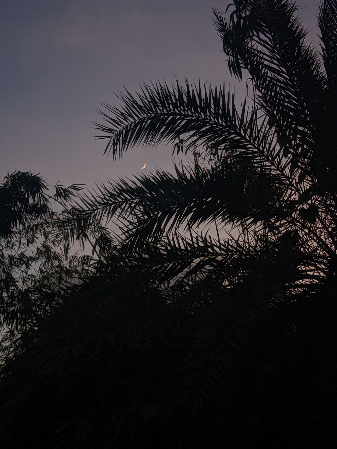 Photo #12557666