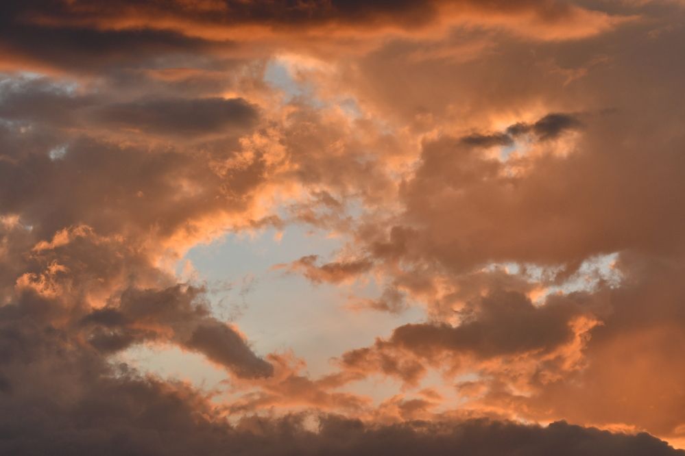 Photograph by Marzio Fattorini